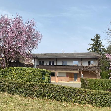Apartments In Leafy Suburb Kehrsatz Екстер'єр фото