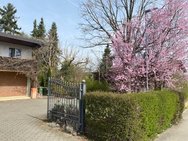 Apartments In Leafy Suburb Kehrsatz Екстер'єр фото